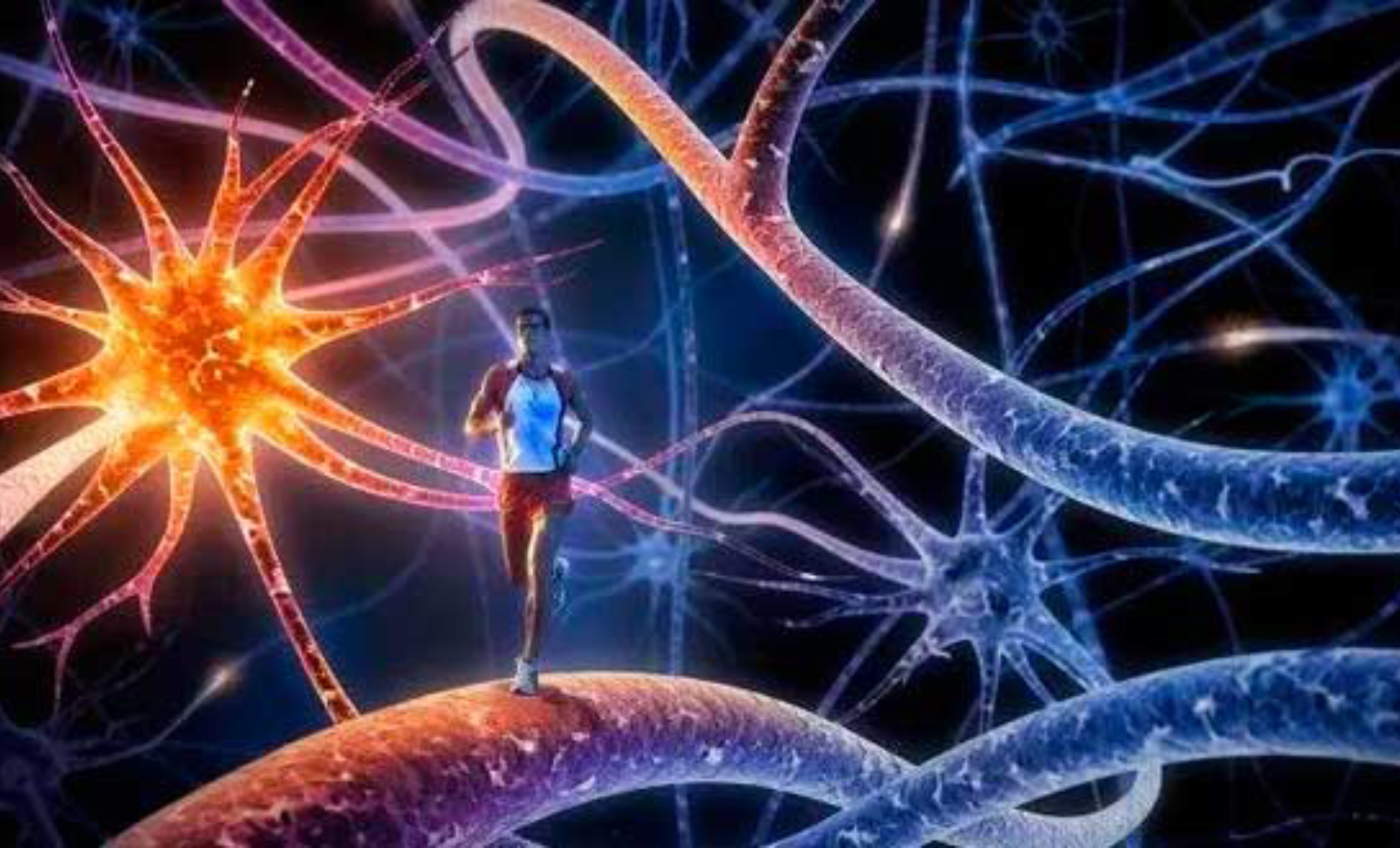 Muévete para pensar mejor: Beneficios cognitivos del ejercicio físico (y por qué tu cerebro lo agradece).