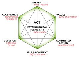 Modelo de flexibilidad psicológica ACT