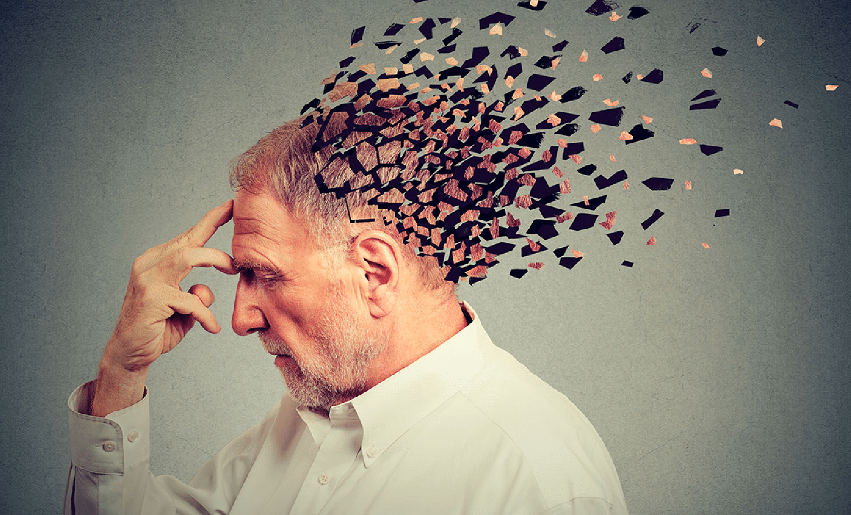 Los tipos de memoria: un viaje por el museo secreto donde guardas tu vida.